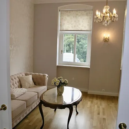 Apartment Delux - Skroupova